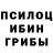 Псилоцибиновые грибы MAGIC MUSHROOMS Alex NitiNiti