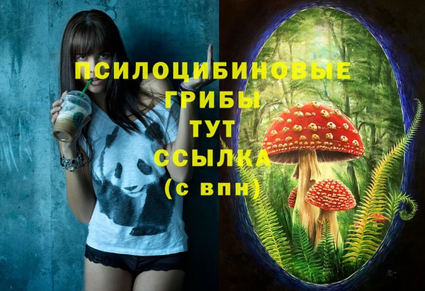 кокаин колумбия Алзамай