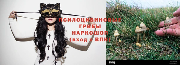 кокаин колумбия Алзамай