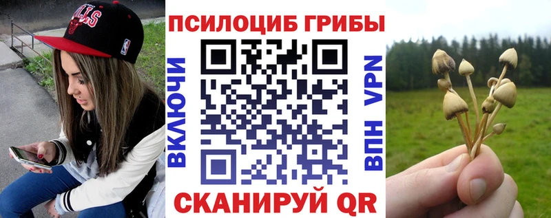 Галлюциногенные грибы Psilocybe  наркота  Карабаш 